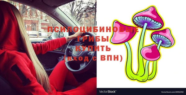прущие грибы Лабытнанги
