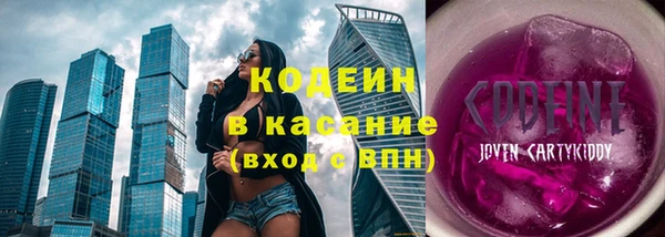 прущие грибы Лабытнанги