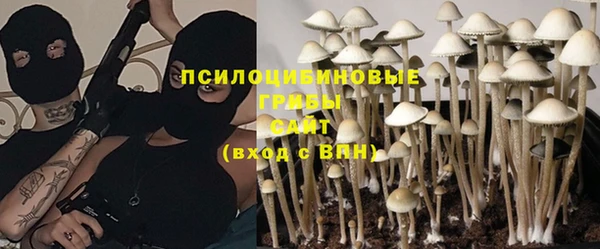 дмт Лихославль
