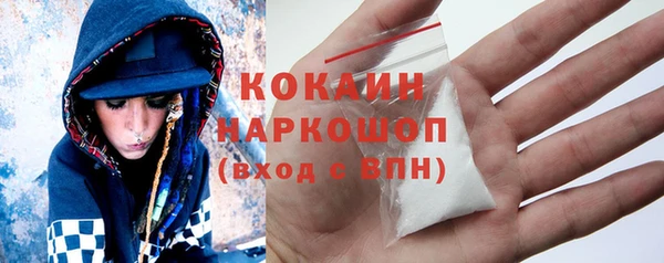 прущие грибы Лабытнанги