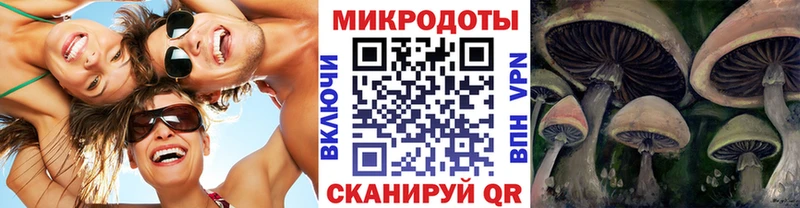 Псилоцибиновые грибы прущие грибы  даркнет сайт  Бобров 